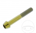 Vite a tappo conica rotonda Pro Bolt M10 x 1.50 x 65 mm acciaio inossidabile A4 oro - JM