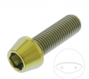 Vite tappo conico rotondo Pro Bolt M10 x 1.25 x 30 mm acciaio inossidabile A4 oro - JM