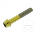 Vite tappo conico rotondo Pro Bolt M10 x 1.25 x 55 mm acciaio inossidabile A4 oro - JM