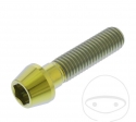 Vite tappo conico rotondo Pro Bolt M10 x 1.50 x 40 mm acciaio inossidabile A4 oro - JM