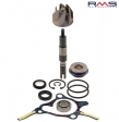 Waterpompset - Honda Foresight ('97-'02) / Forza X ('05-'07) / Reflex / Piaggio X9 met Honda motor ('01-'02) 4T LC 250cc - RMS