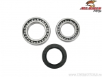 Wheel Bearing/Seal Kit - Yamaha YFM250 Moto-4 ('89-'91) / YFM350ER Moto-4 / YFM350FW Big Bear ('87-'95) - All Balls