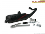 Wild Lion Exhaust System (3216593) - Kymco Agility R12 Basic 50 AIR 2T E2 ('07-'08) / Dink 50 H2O 2T E2 ('02-'05) - Malossi